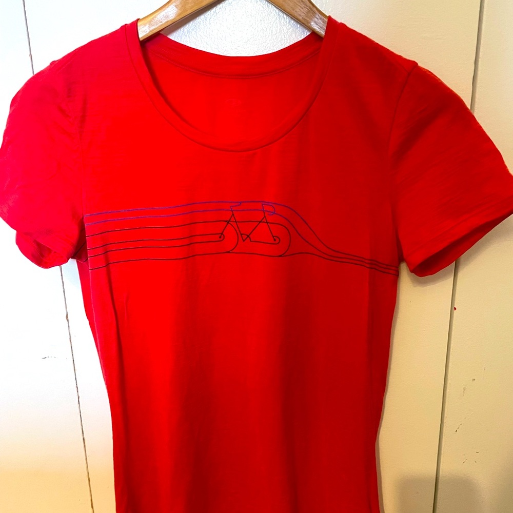 Icebreaker Merino T-Shirt